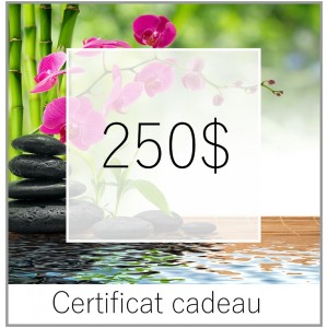 CERTIFICAT CADEAU 250